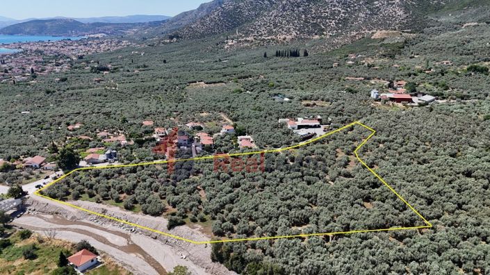 Image No.2-Property for sale