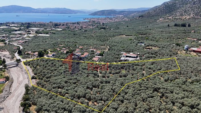 Image No.3-Property for sale