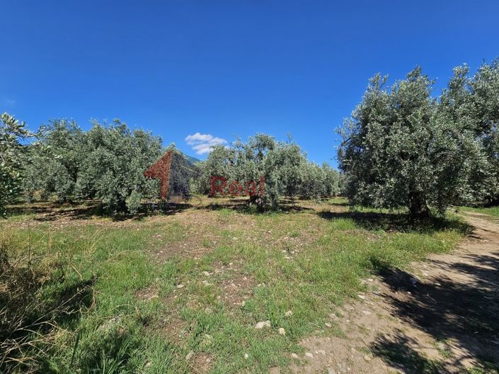 Image No.5-Property for sale