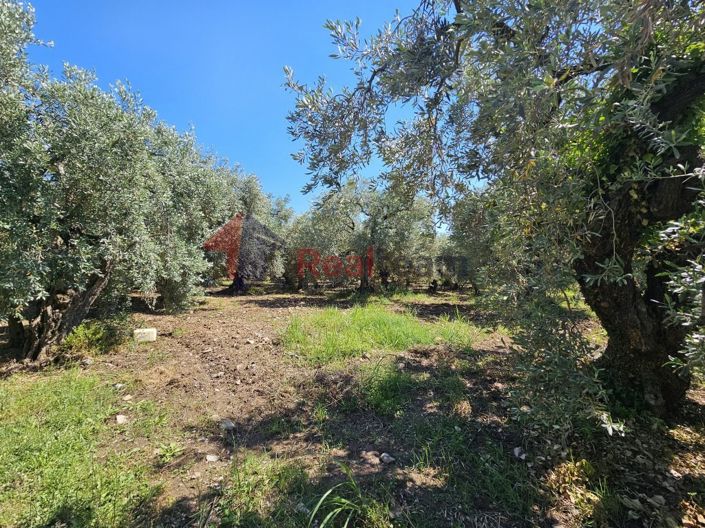 Image No.6-Property for sale