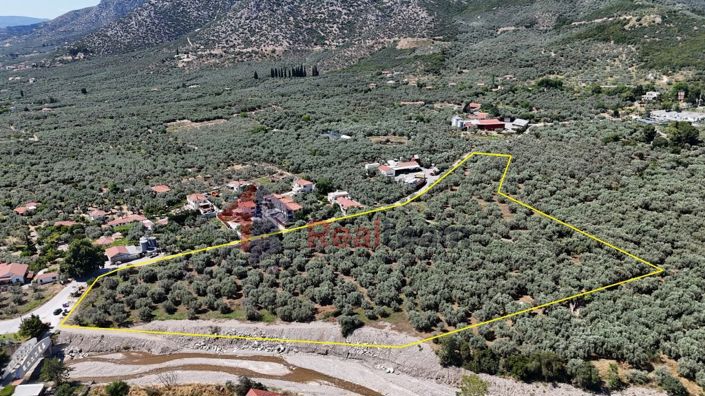 Image No.8-Property for sale