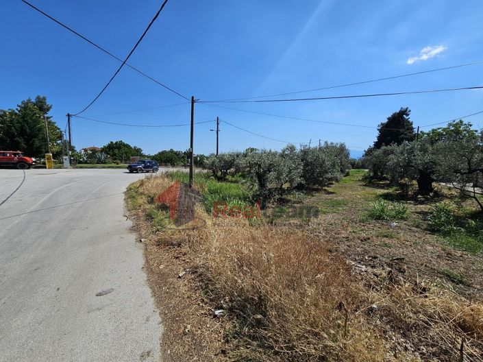 Image No.19-Property for sale