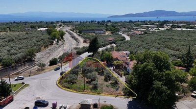 1cc5f9f7eb9c42b2b8cfce0450099ac0