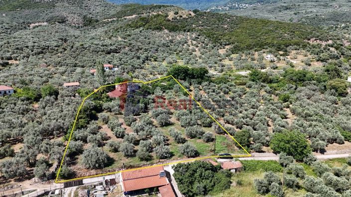 Image No.11-Property for sale