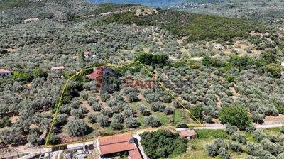 5074bb4df2a441d19a001d5eb104bc66