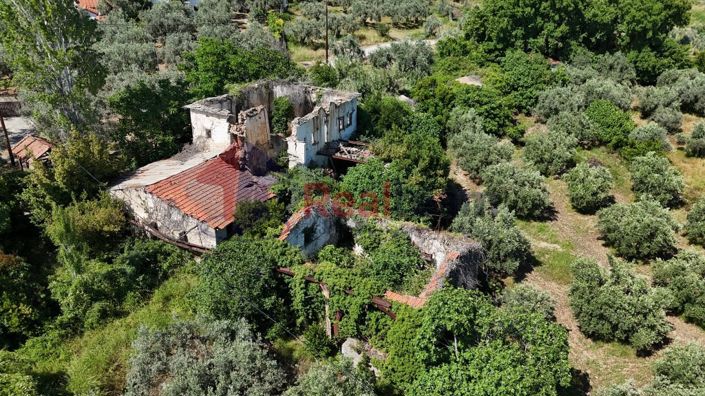 Image No.12-Property for sale