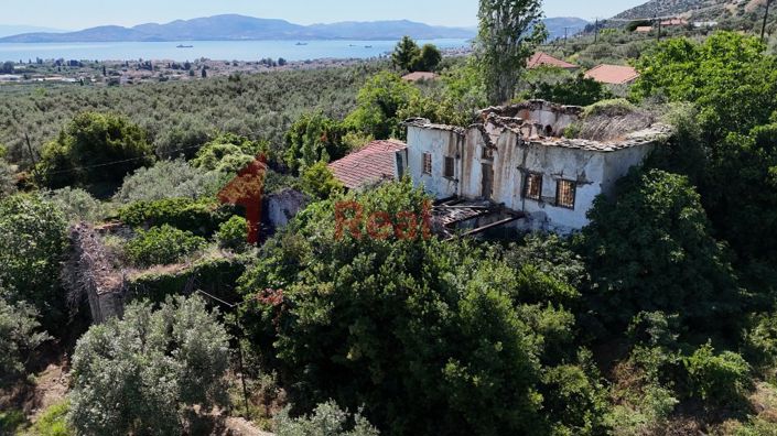 Image No.13-Property for sale