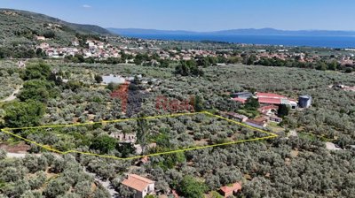 507fed29f3e64e30bb6216ba2adb3406