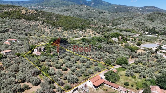 Image No.18-Property for sale