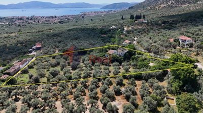 ad08bcbc9c424a2c8863cdc214ba1d51