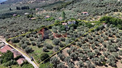 f45fc7b4d7044613930898b9a481203e