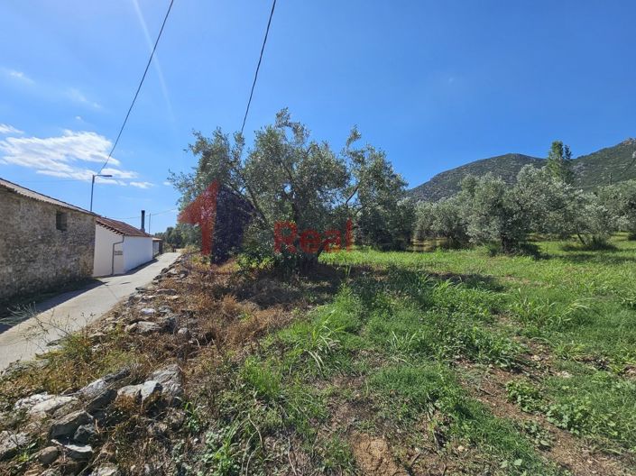 Image No.6-Property for sale