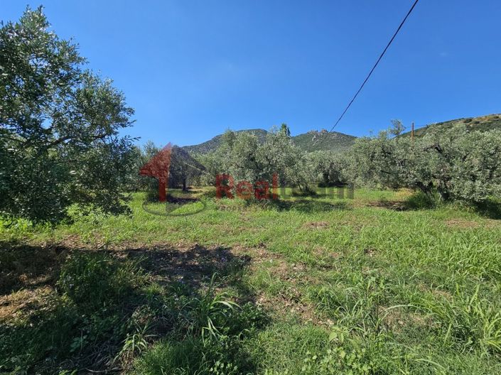 Image No.7-Property for sale