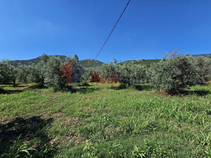 Image No.8-Property for sale