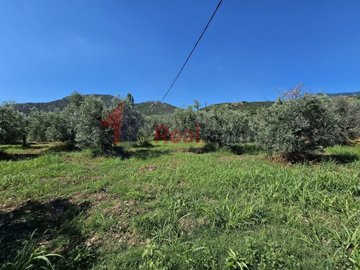 ebc309566e2a42418104c0563ccf0dcc