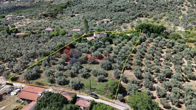 af37c17fa83f4a8bbdbf428031ad043d