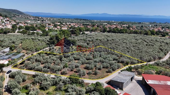 Image No.1-Property for sale