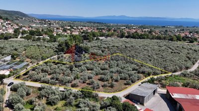 c7cb07e57ff64caf8fd329b00b676499