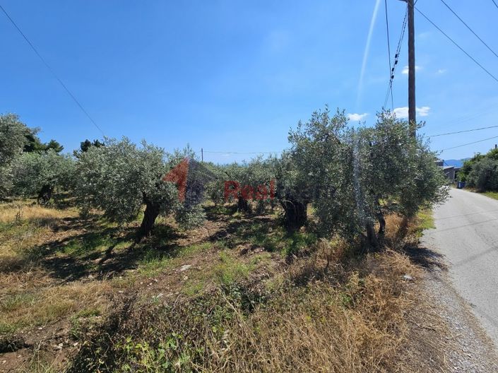 Image No.11-Property for sale