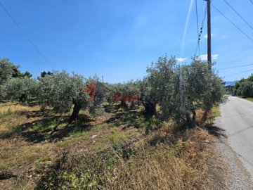 d03ffe5ec16b49248160a4823d1c8f3c