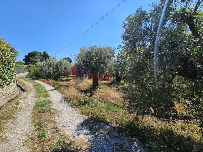 Image No.12-Property for sale