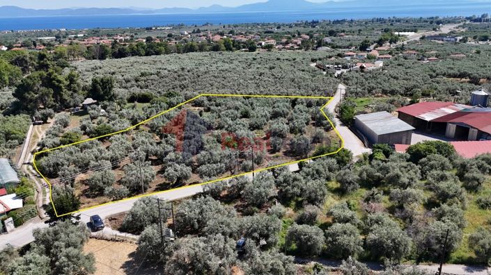 Image No.13-Property for sale