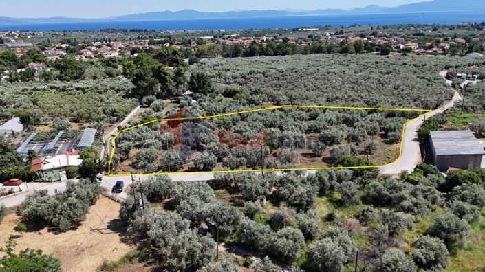 Image No.14-Property for sale