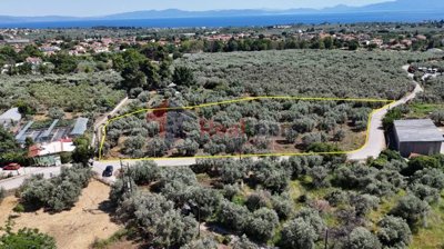 d0b9191d5bcb4870b08dd69d6bb43023