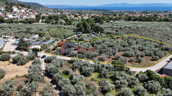 Image No.15-Property for sale