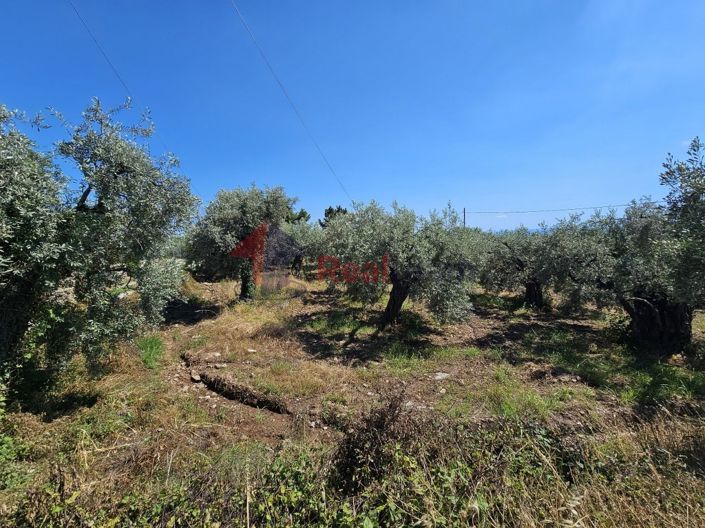 Image No.17-Property for sale