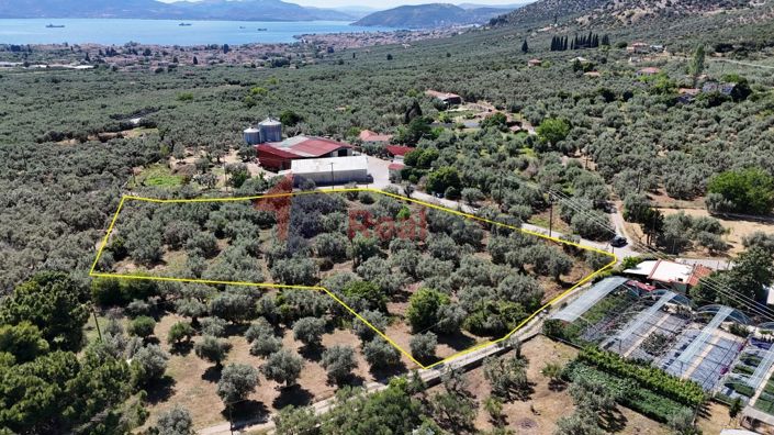 Image No.18-Property for sale