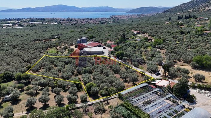 Image No.19-Property for sale