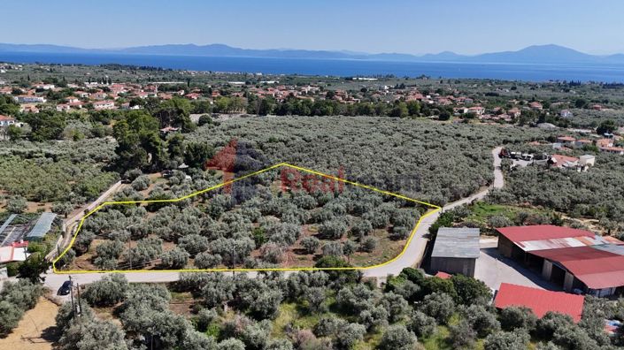 Image No.2-Property for sale