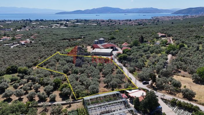 Image No.20-Property for sale