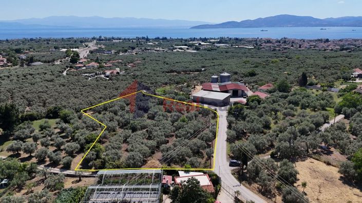 Image No.21-Property for sale