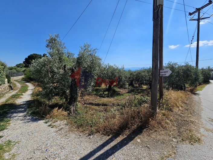 Image No.22-Property for sale