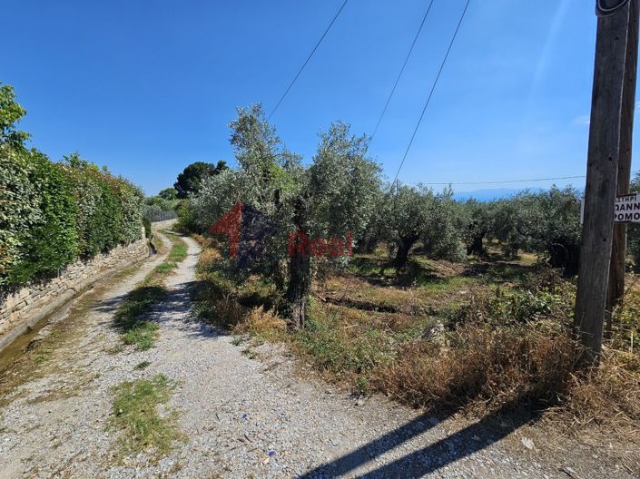 Image No.23-Property for sale