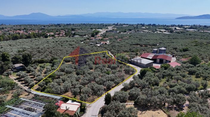 Image No.5-Property for sale