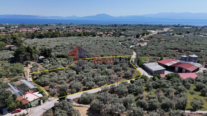 Image No.6-Property for sale