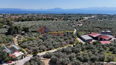 85cfac92b0ff47f5a5fd9f1505c75a77