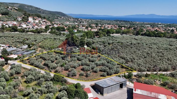 Image No.8-Property for sale