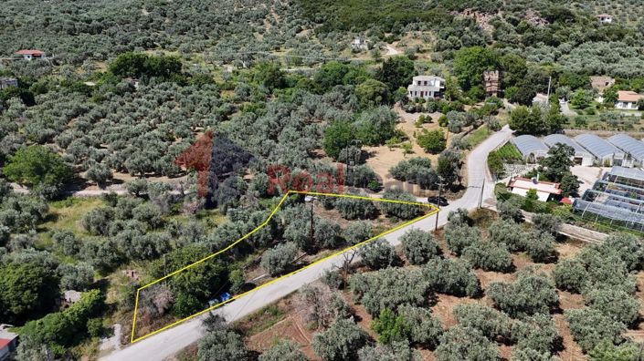 Image No.13-Property for sale