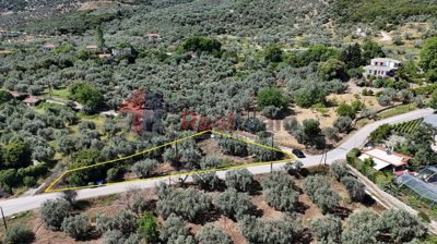 4f56858c36824b3fafa2725045f0e579