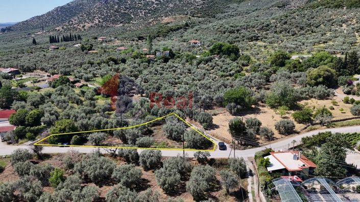 Image No.15-Property for sale