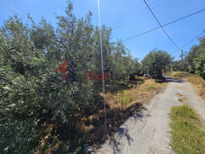 Image No.16-Property for sale