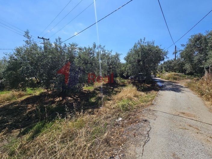 Image No.17-Property for sale