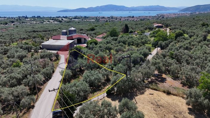 Image No.2-Property for sale