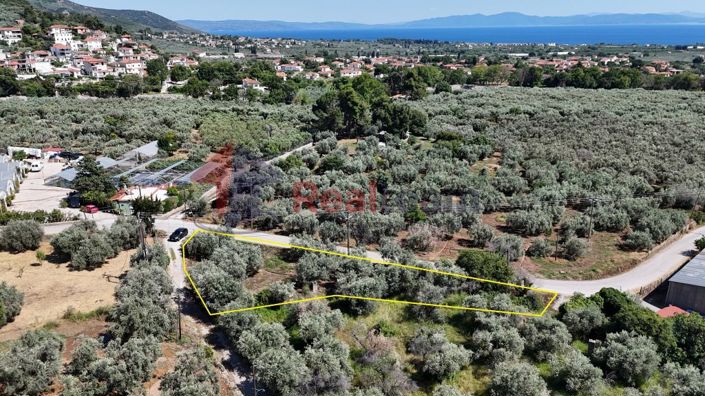 Image No.7-Property for sale