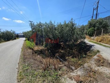 c0d7788be46d4cf891edf9b9a812102a