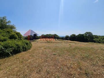 882c8517988247ea93c19cf2bd734aa9